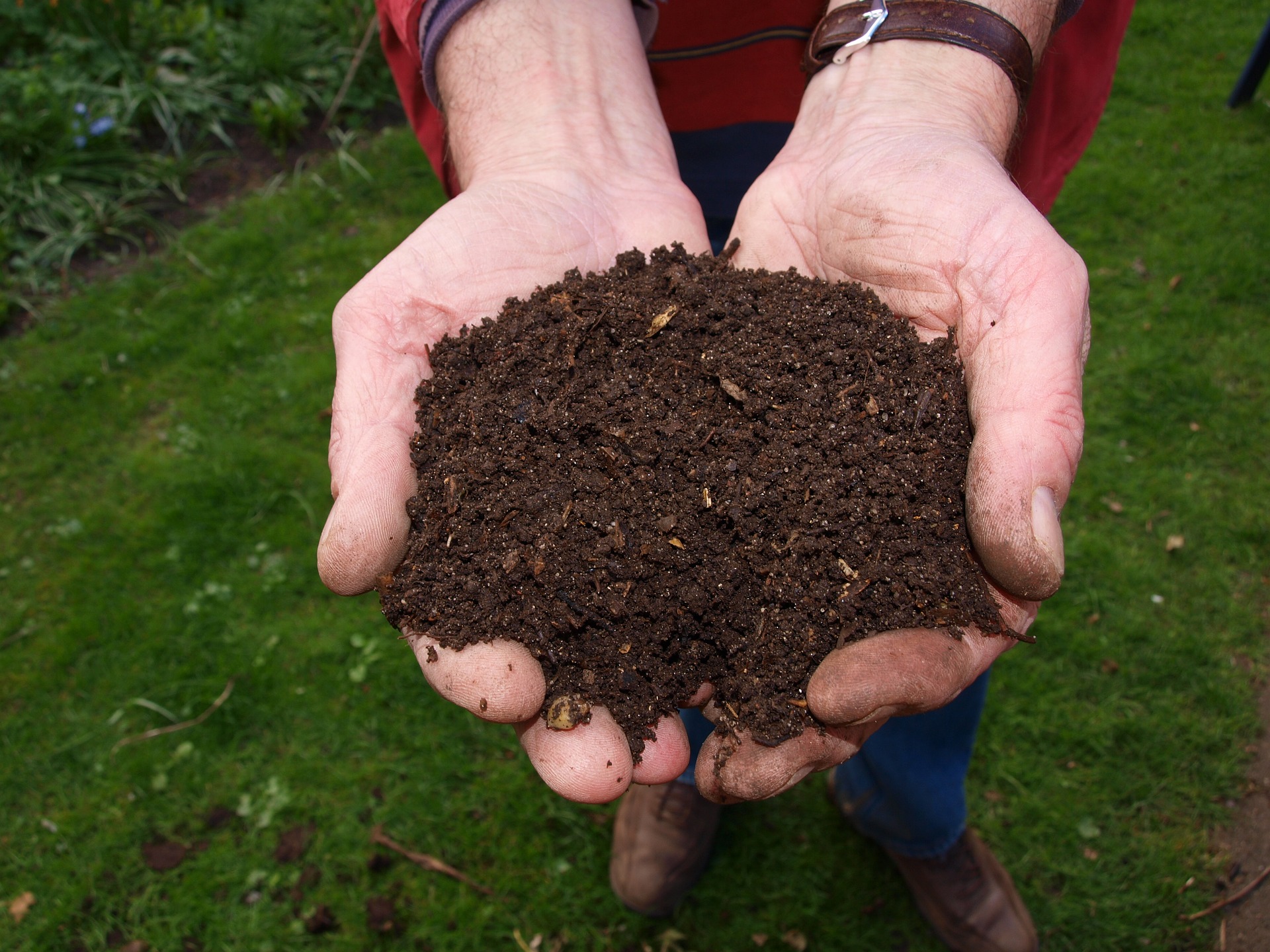 Cheapest Compost Bags