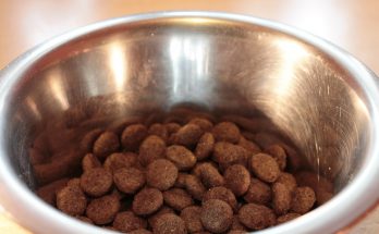 where-to-buy-cheap-dog-bowls